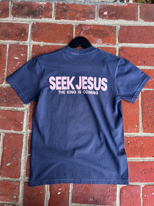 Seek Jesus Blush